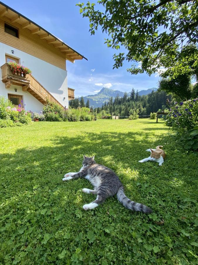 Landhaus Barbara Кицбюэль Экстерьер фото