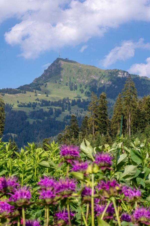 Landhaus Barbara Кицбюэль Экстерьер фото